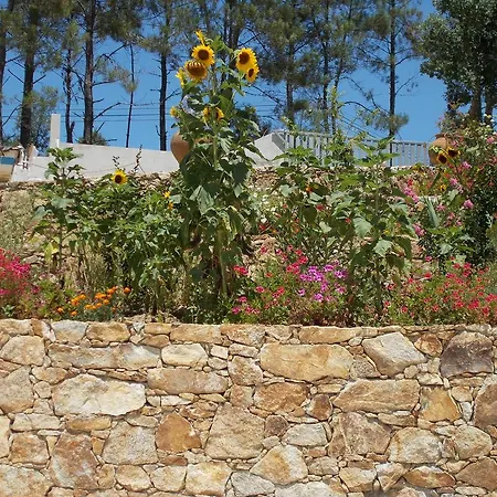 Casa Do Cabril * Pedrógão Pequeno