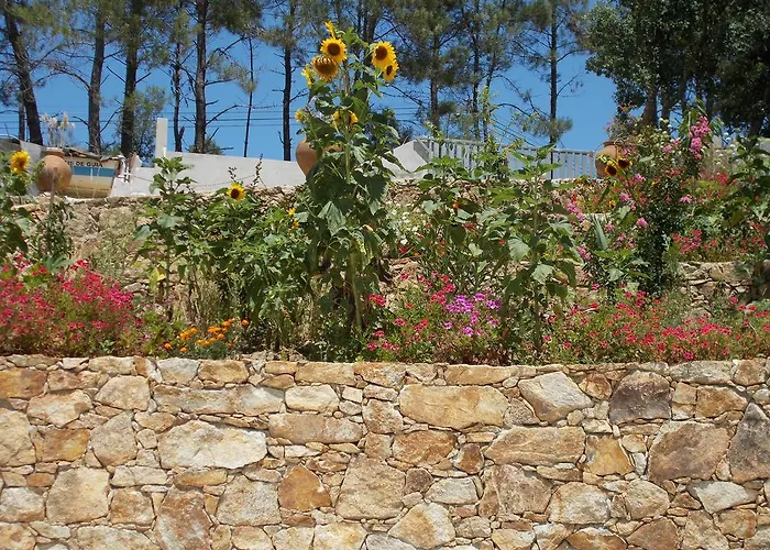 Casa Do Cabril * Педроган-Пекену